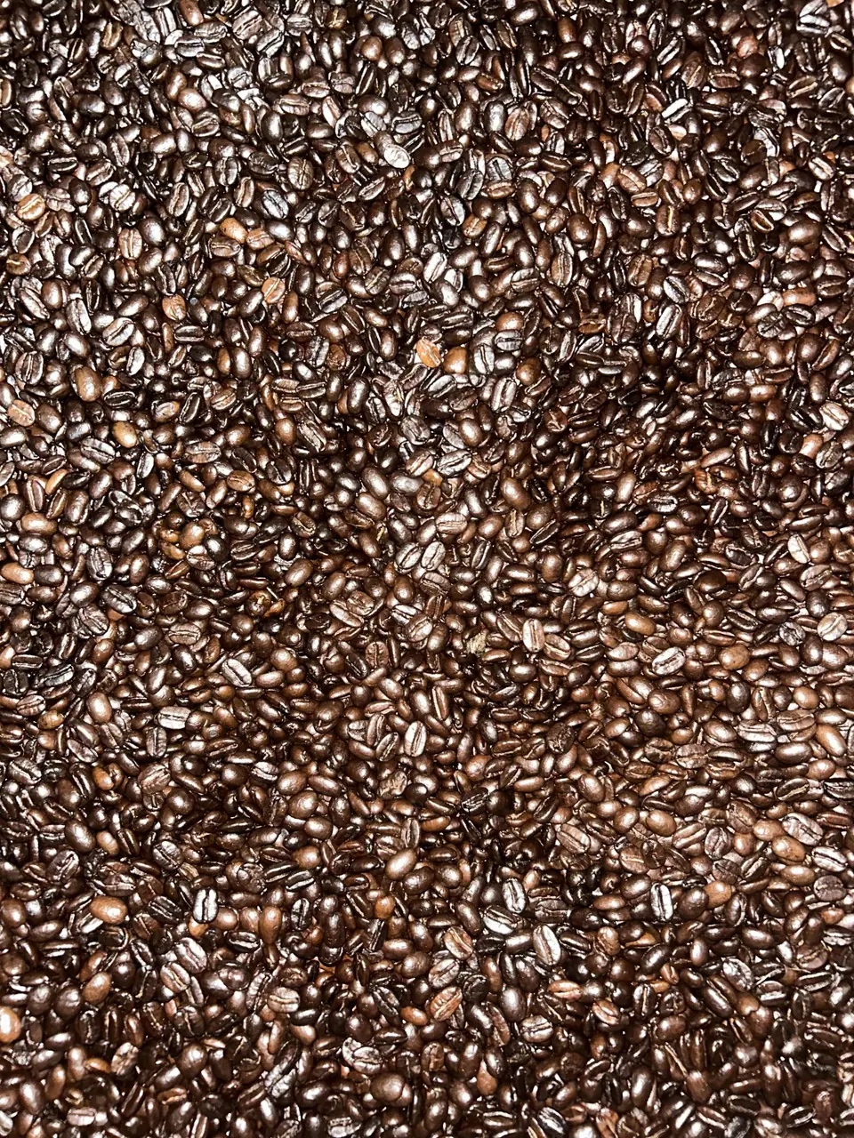 WHOLE BEAN WHOLESALE