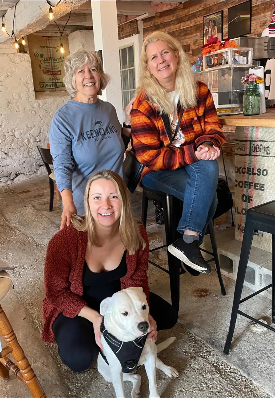 skeller dogs